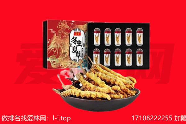 韶关翁源县回收虫草.jpg